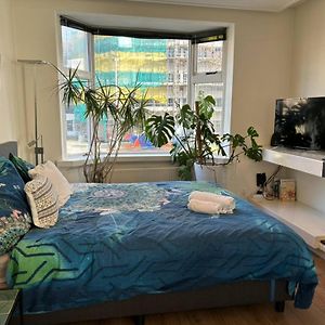 Kamer met een Queen Size Bed